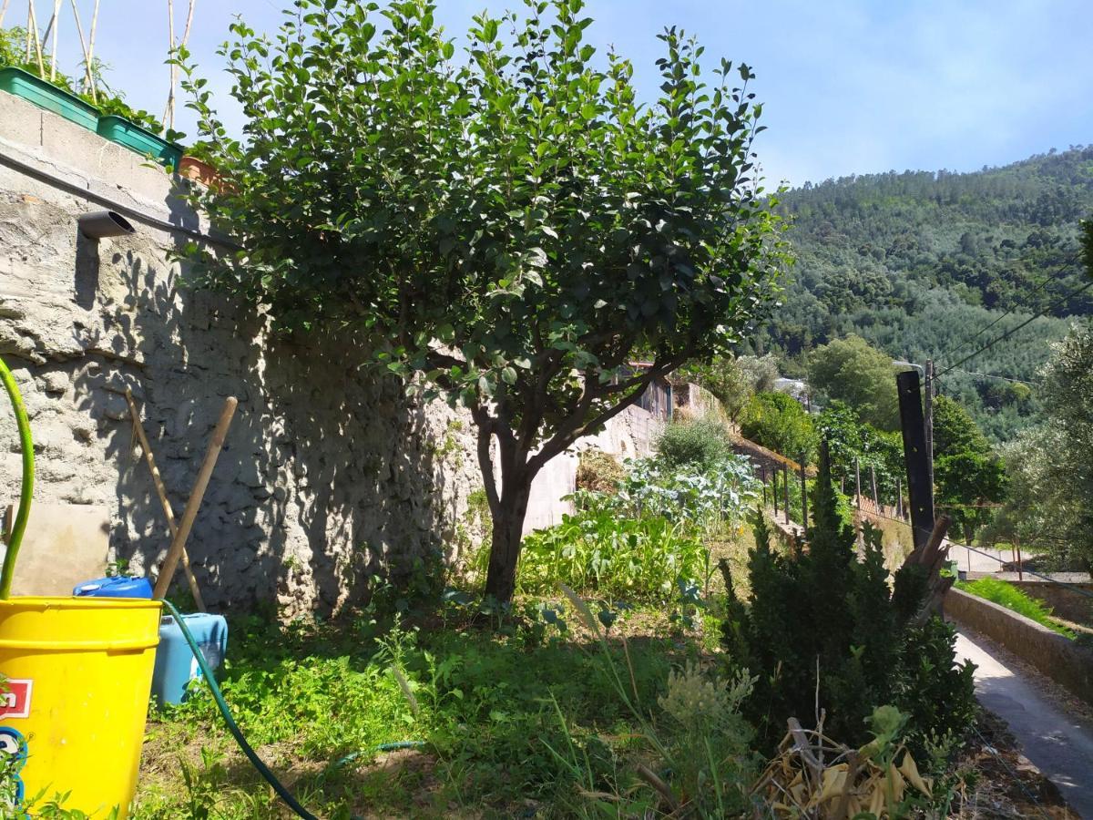Appartamento Casa Da Rota Dos Moinhos Lousã Esterno foto