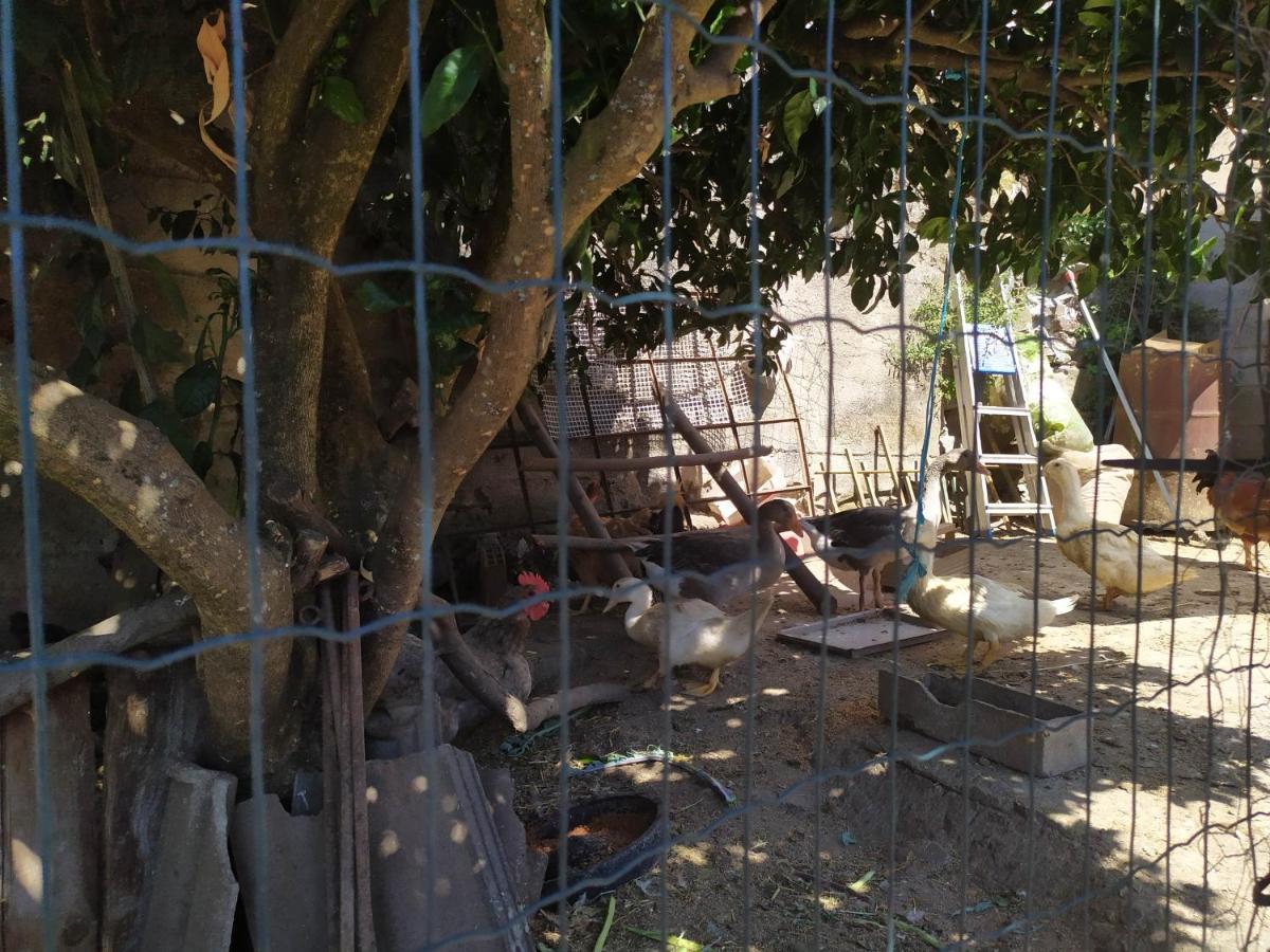 Appartamento Casa Da Rota Dos Moinhos Lousã Esterno foto
